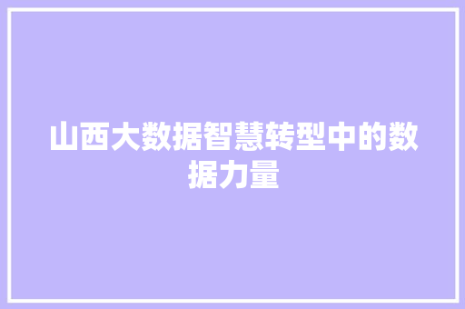 山西大数据智慧转型中的数据力量