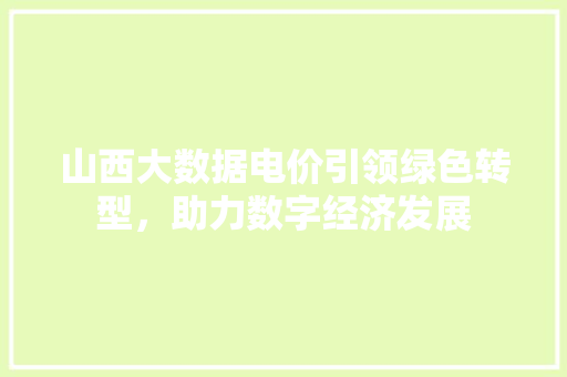 山西大数据电价引领绿色转型，助力数字经济发展