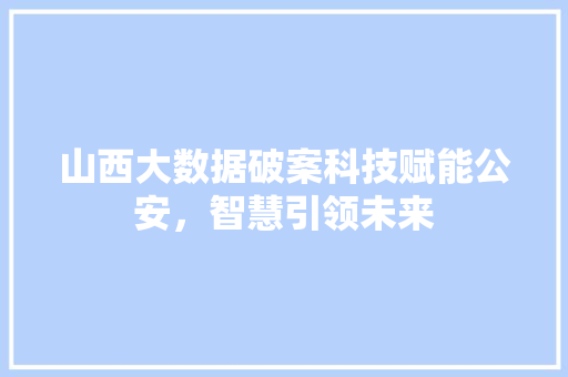 山西大数据破案科技赋能公安，智慧引领未来