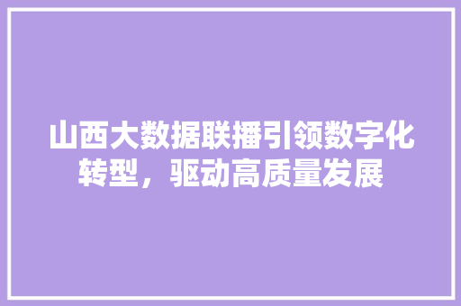 山西大数据联播引领数字化转型，驱动高质量发展
