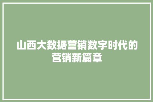 山西大数据营销数字时代的营销新篇章