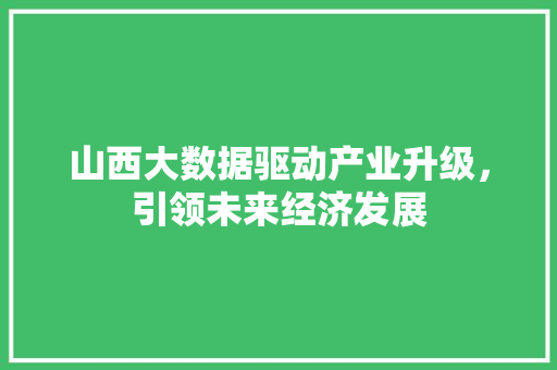 山西大数据驱动产业升级，引领未来经济发展
