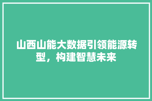 山西山能大数据引领能源转型，构建智慧未来