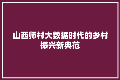 山西师村大数据时代的乡村振兴新典范