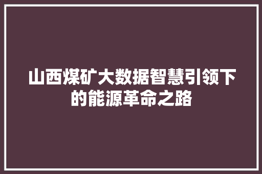 山西煤矿大数据智慧引领下的能源革命之路