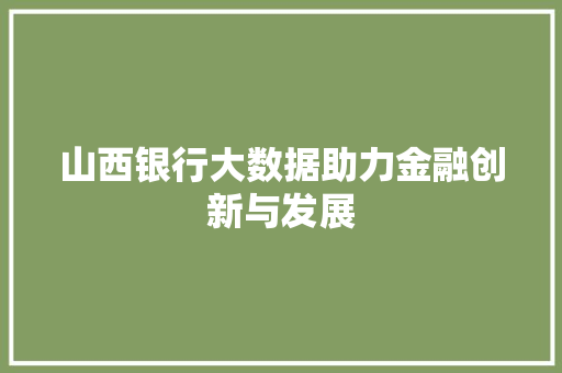 山西银行大数据助力金融创新与发展