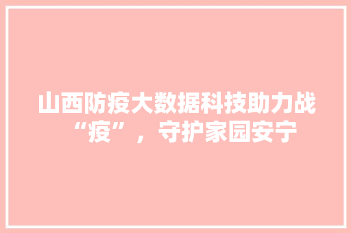 山西防疫大数据科技助力战“疫”，守护家园安宁