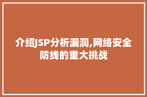 介绍JSP分析漏洞,网络安全防线的重大挑战