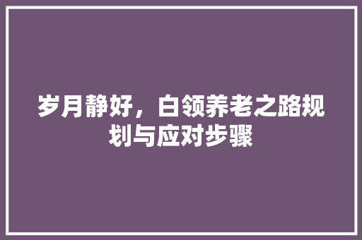 岁月静好，白领养老之路规划与应对步骤