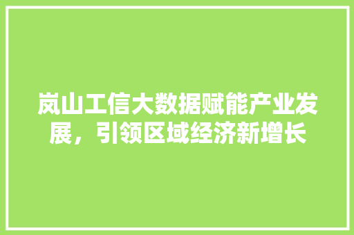 岚山工信大数据赋能产业发展，引领区域经济新增长