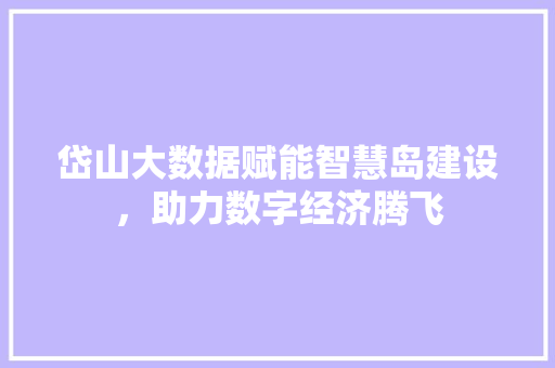 岱山大数据赋能智慧岛建设，助力数字经济腾飞