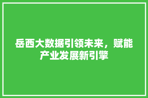 岳西大数据引领未来，赋能产业发展新引擎