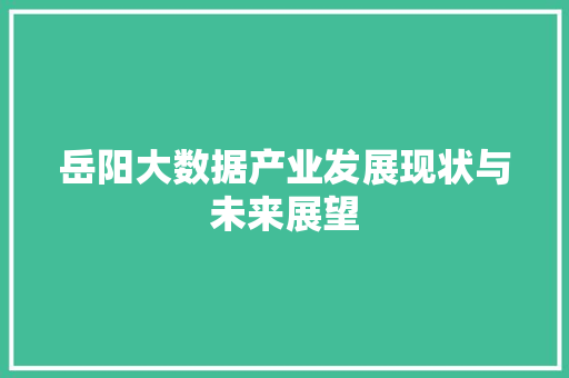 岳阳大数据产业发展现状与未来展望