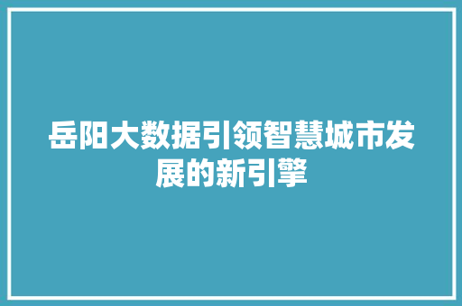 岳阳大数据引领智慧城市发展的新引擎