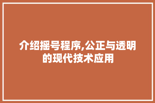 介绍摇号程序,公正与透明的现代技术应用