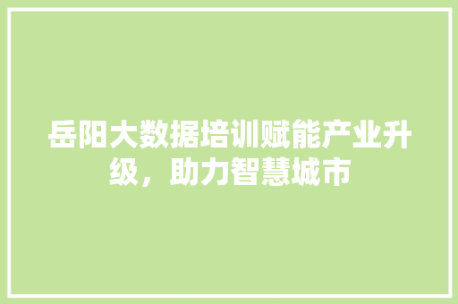 岳阳大数据培训赋能产业升级，助力智慧城市