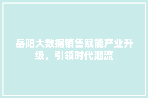 岳阳大数据销售赋能产业升级，引领时代潮流