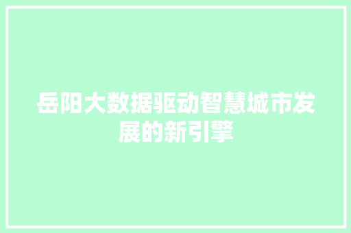 岳阳大数据驱动智慧城市发展的新引擎