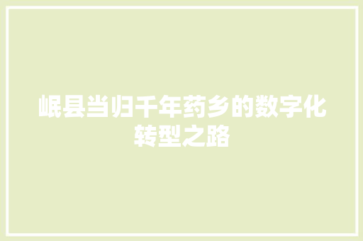 岷县当归千年药乡的数字化转型之路