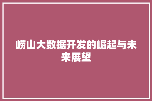 崂山大数据开发的崛起与未来展望