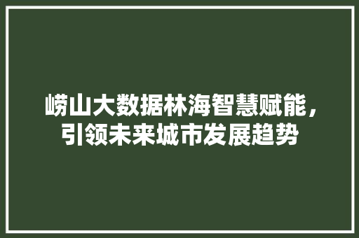崂山大数据林海智慧赋能，引领未来城市发展趋势