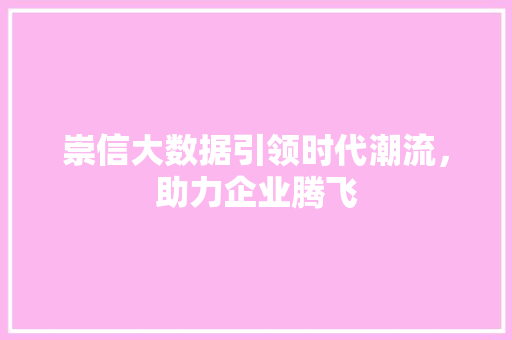 崇信大数据引领时代潮流，助力企业腾飞