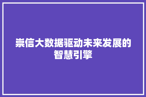 崇信大数据驱动未来发展的智慧引擎