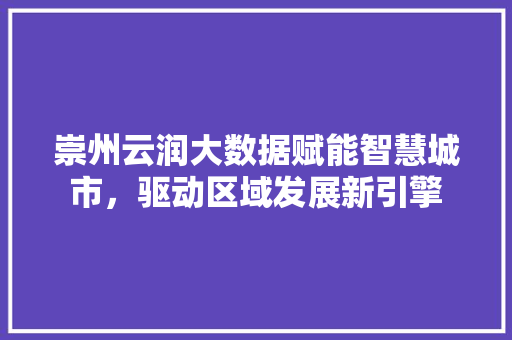 崇州云润大数据赋能智慧城市，驱动区域发展新引擎