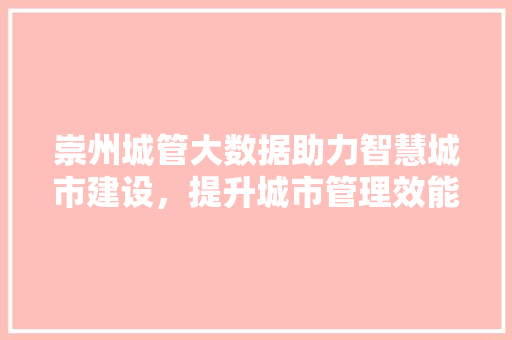 崇州城管大数据助力智慧城市建设，提升城市管理效能