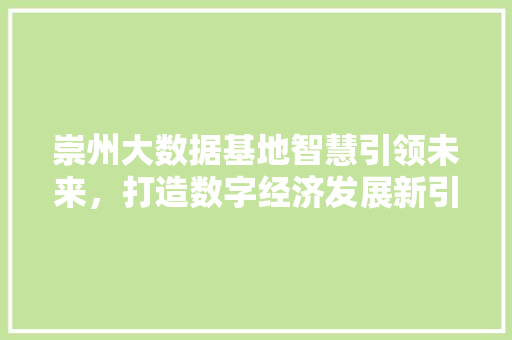崇州大数据基地智慧引领未来，打造数字经济发展新引擎