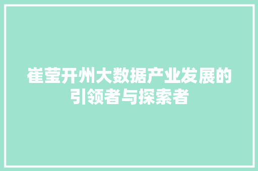 崔莹开州大数据产业发展的引领者与探索者