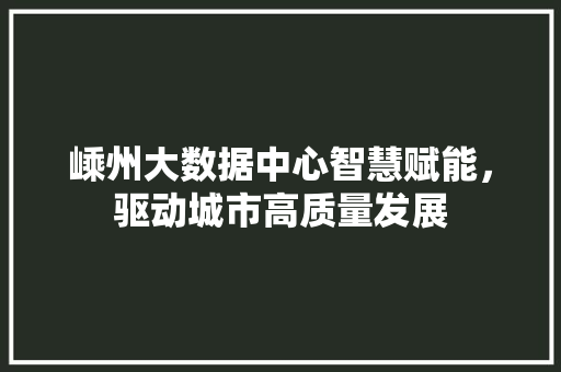 嵊州大数据中心智慧赋能，驱动城市高质量发展