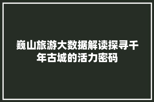 巍山旅游大数据解读探寻千年古城的活力密码