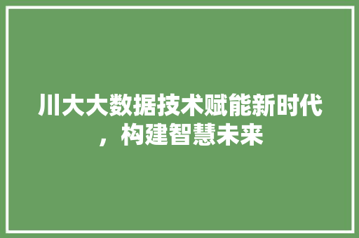 川大大数据技术赋能新时代，构建智慧未来