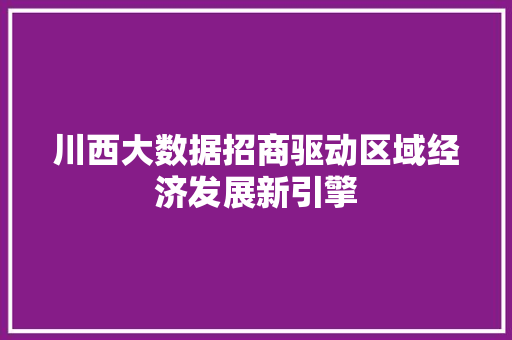 川西大数据招商驱动区域经济发展新引擎