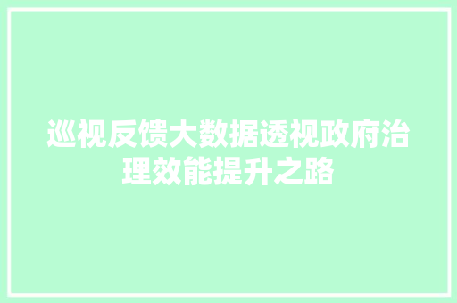 巡视反馈大数据透视政府治理效能提升之路