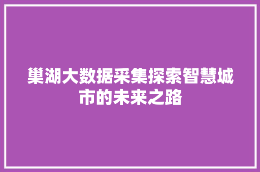 巢湖大数据采集探索智慧城市的未来之路
