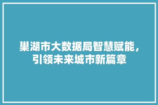 巢湖市大数据局智慧赋能，引领未来城市新篇章