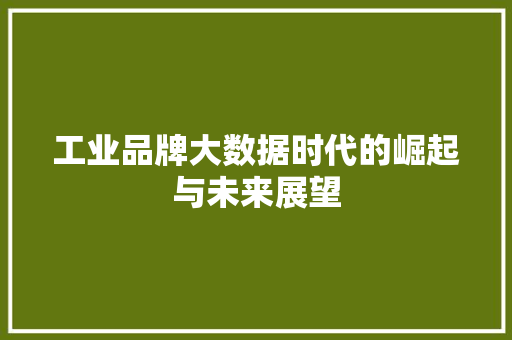 工业品牌大数据时代的崛起与未来展望