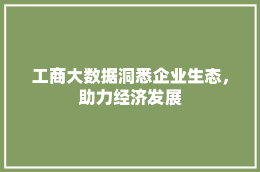 工商大数据洞悉企业生态，助力经济发展