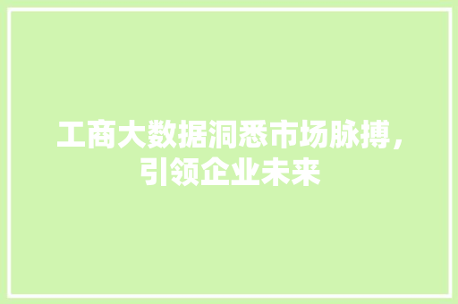 工商大数据洞悉市场脉搏，引领企业未来