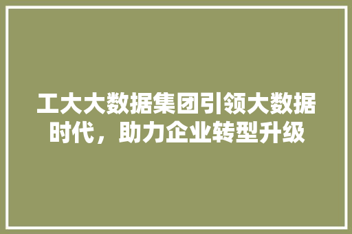 工大大数据集团引领大数据时代，助力企业转型升级