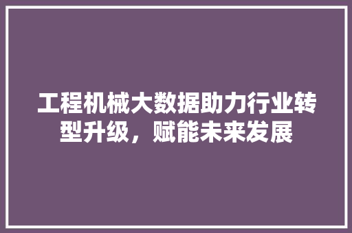 工程机械大数据助力行业转型升级，赋能未来发展