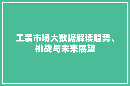 工装市场大数据解读趋势、挑战与未来展望