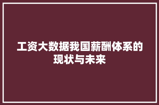 工资大数据我国薪酬体系的现状与未来