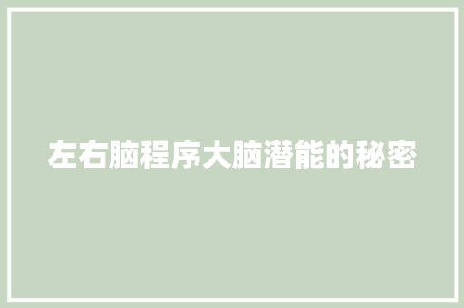 左右脑程序大脑潜能的秘密