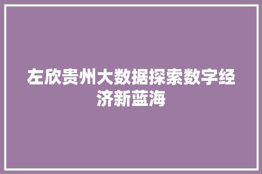 左欣贵州大数据探索数字经济新蓝海
