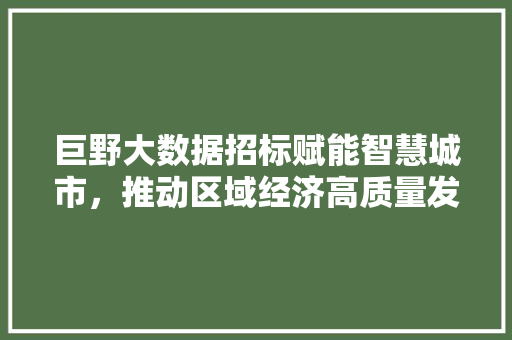 巨野大数据招标赋能智慧城市，推动区域经济高质量发展