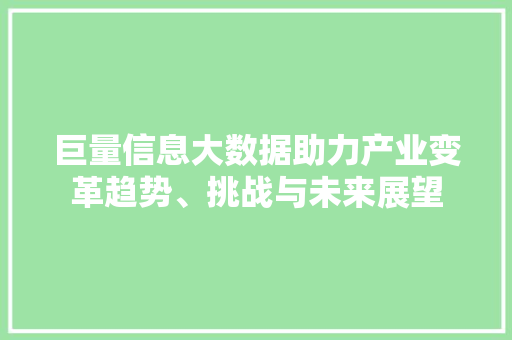 巨量信息大数据助力产业变革趋势、挑战与未来展望