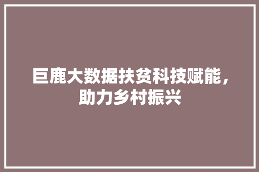 巨鹿大数据扶贫科技赋能，助力乡村振兴